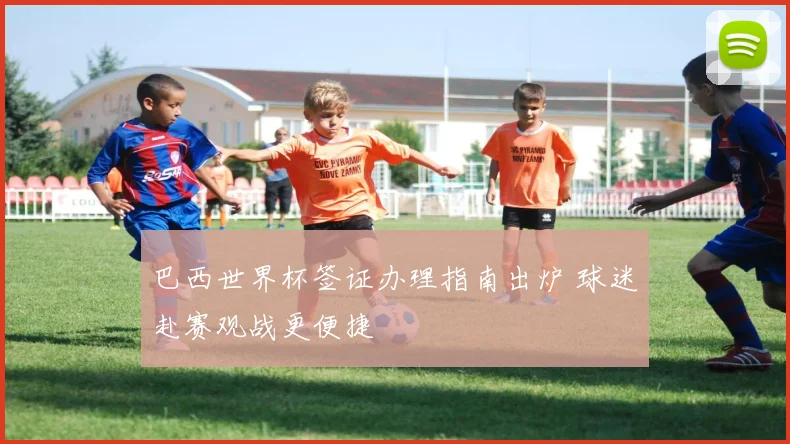 巴西世界杯签证办理指南出炉 球迷赴赛观战更便捷